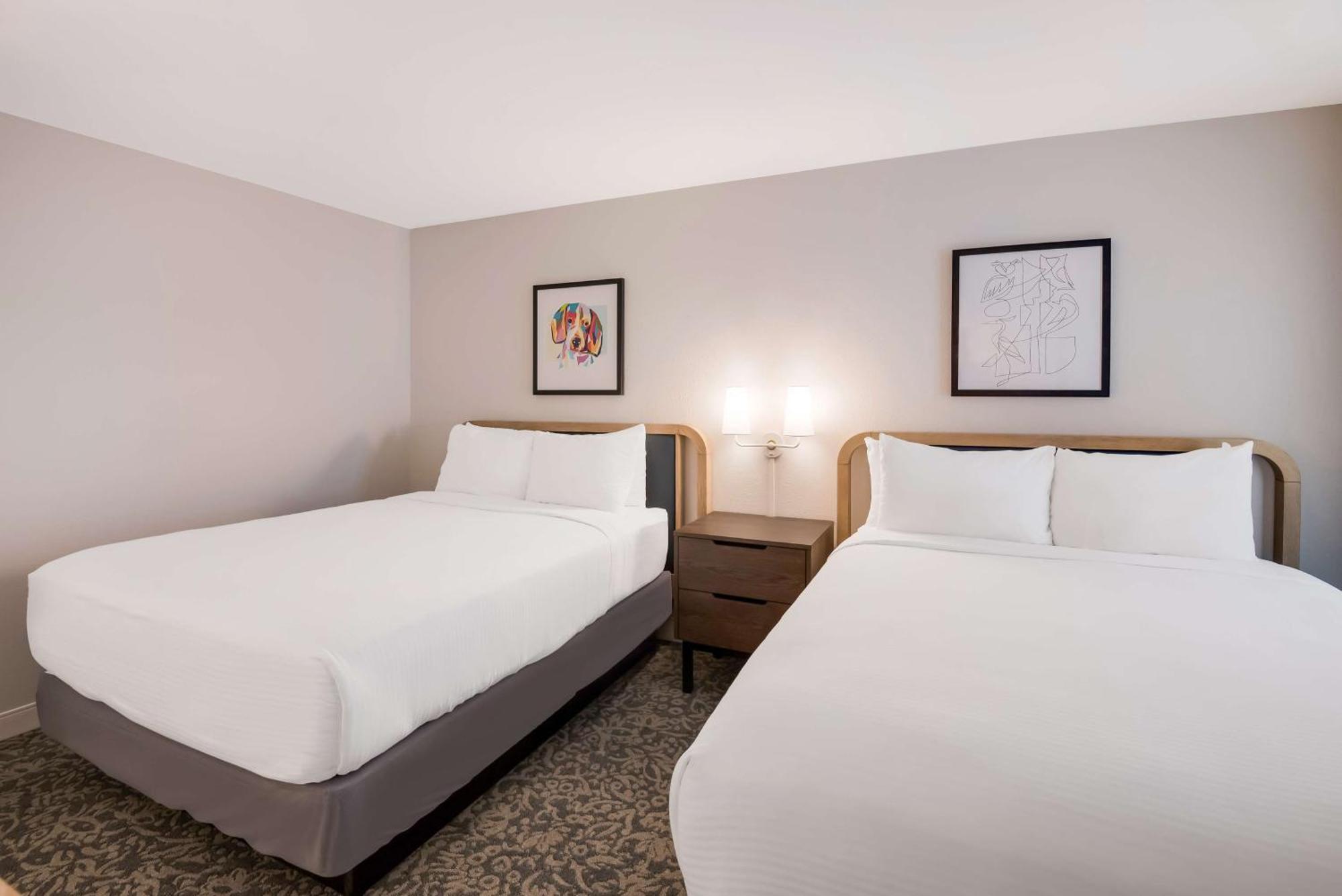 Sonesta Es Suites Andover Boston Extérieur photo